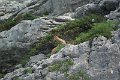 DSC00025