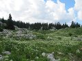 IMG_5457