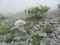 IMG_5892