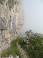 IMG_5907