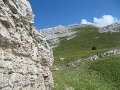 IMG_5908