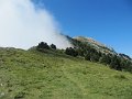 IMG_5909
