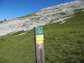 IMG_5910