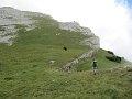 IMG_5917