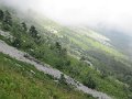 IMG_5919