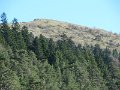 IMG_6513