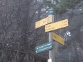 IMG_6535
