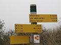 IMG_6536