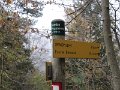 IMG_6537