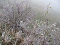 IMG_6539