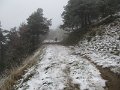 IMG_6540