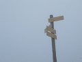 IMG_6541