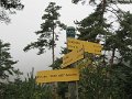 IMG_6547