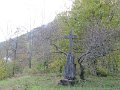 IMG_6550
