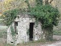 IMG_6621