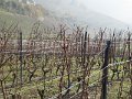 IMG_6638