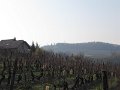 IMG_6652