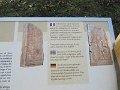 IMG_6671
