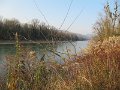 IMG_6695
