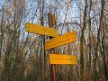 IMG_6698
