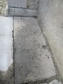 IMG_6710