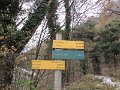 IMG_6719