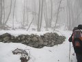 IMG_6723