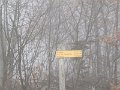 IMG_6725