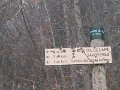 IMG_6728