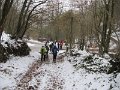 IMG_6736