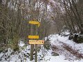 IMG_6738