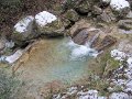IMG_6742