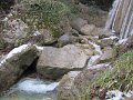 IMG_6745