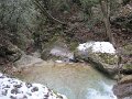 IMG_6746