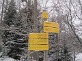 IMG_6970