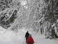 IMG_6971