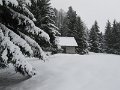 IMG_6972