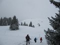 IMG_6977