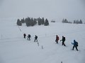 IMG_6978