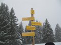 IMG_6981