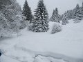 IMG_6982