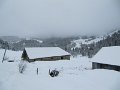 IMG_6985