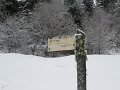IMG_6986