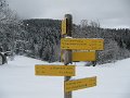 IMG_6989