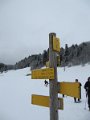 IMG_6991
