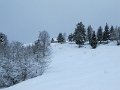 IMG_6995