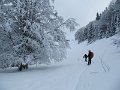 IMG_6999