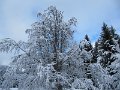 IMG_7001