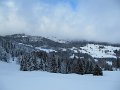 IMG_7002