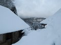 IMG_7005
